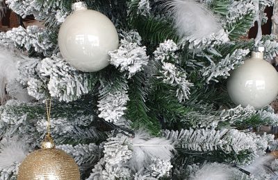 Promozione Natale 2021 – fino al 9/1/2022